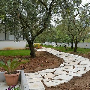 b&b Il Girasole Formia Guesthouse